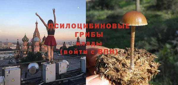 молекула духа Алексеевка