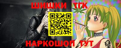 МДПВ Славгород