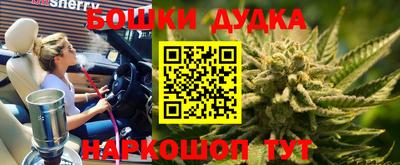 МДПВ Славгород