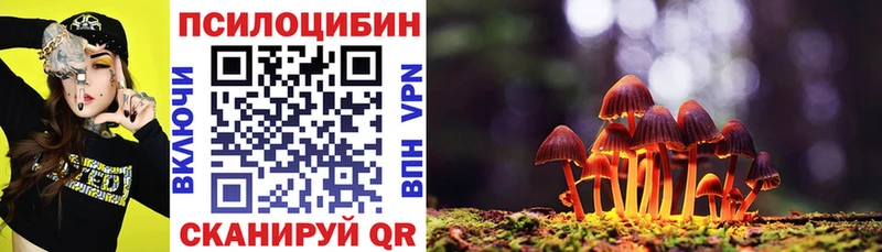 закладка  Тосно  shop как зайти  Галлюциногенные грибы Magic Shrooms 