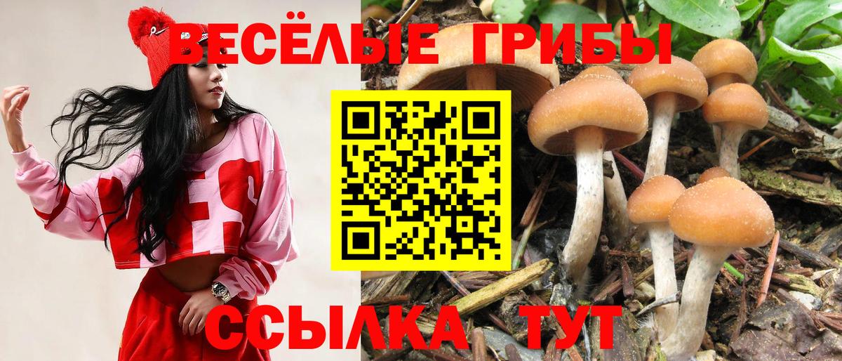 Псилоцибиновые грибы мухоморы  Псилоцибиновые грибы прущие грибы  Вход с VPN  где купить наркоту  Тосно 